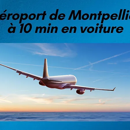 L'ecrin Duplex Piscine Proche Lejlighed Palavas-les-Flots